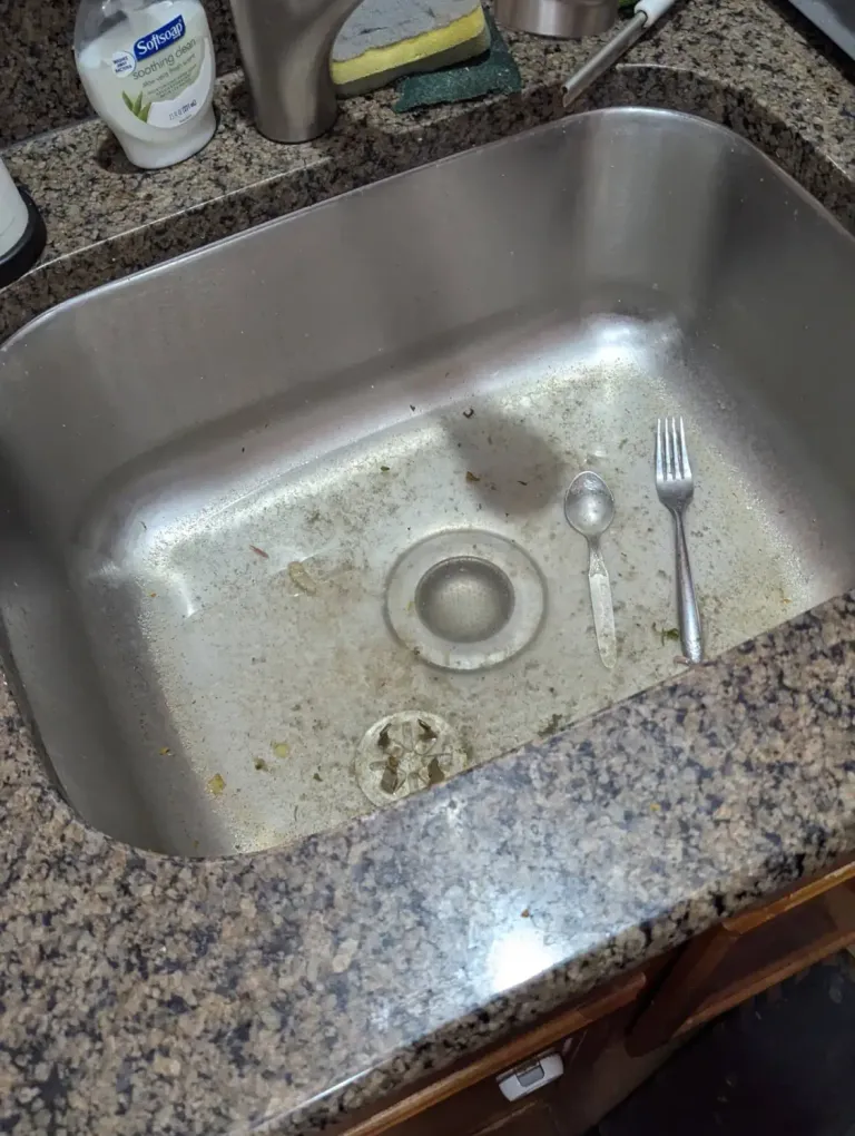 Kitchen sink before a clog was cleared.