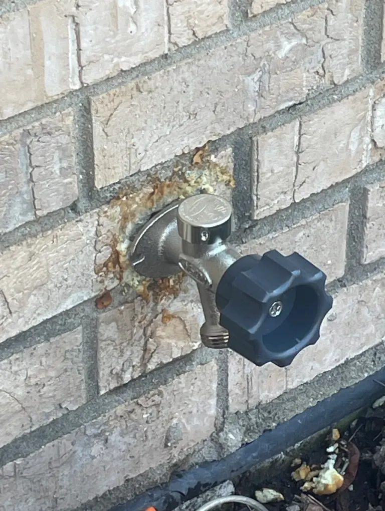 An outdoor faucet installed on a house wall.