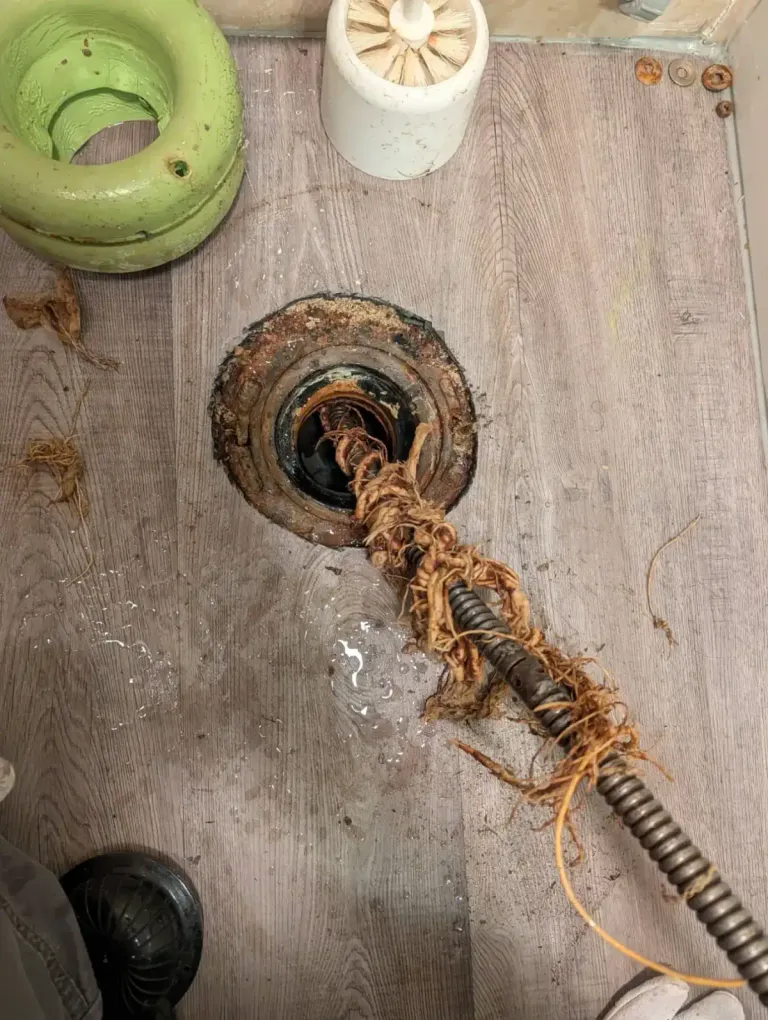 Roots pulled from a toilet outlet.