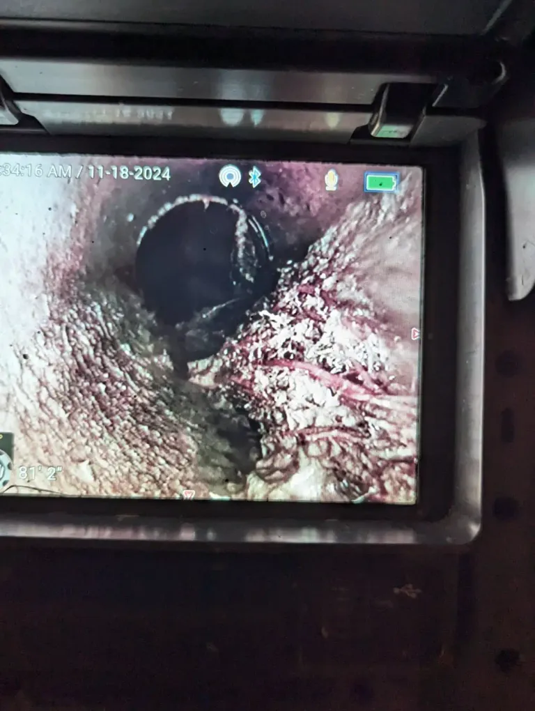 Camera screen showing roots in a sewer line at 81 feet.