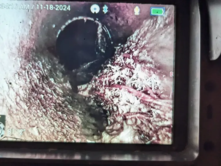 Camera screen showing roots in a sewer line at 81 feet.
