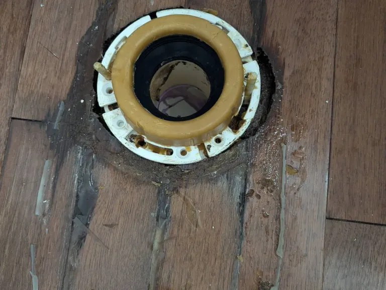 Toilet flange with wax ring.