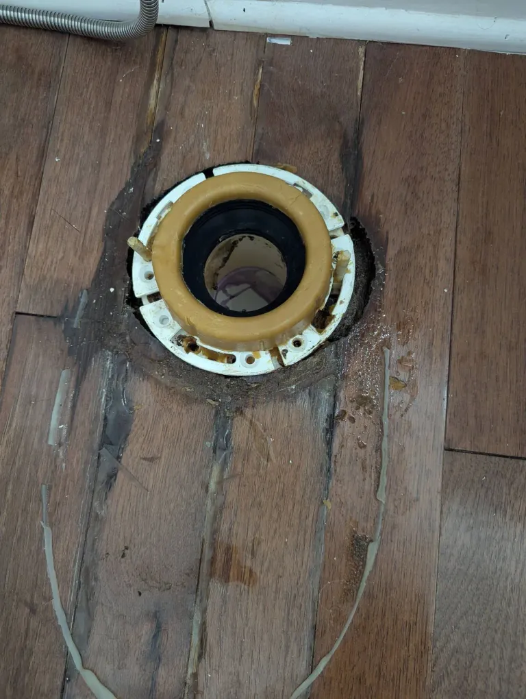 Toilet flange with wax ring.