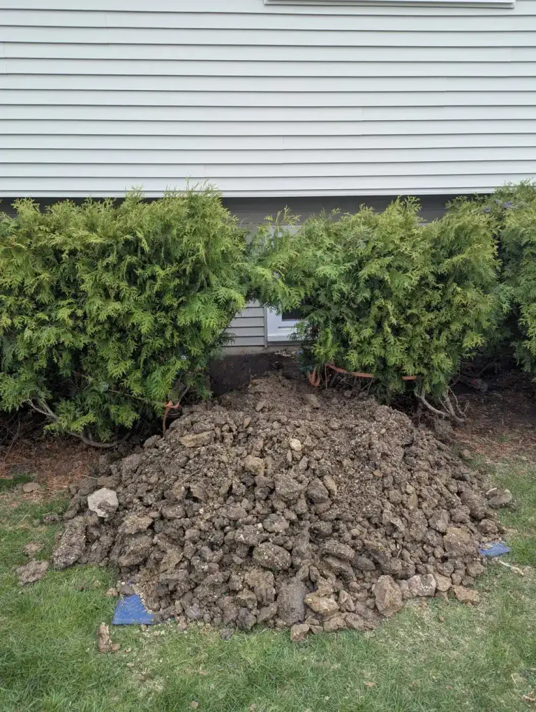 Residential yard trench beside shrubs.